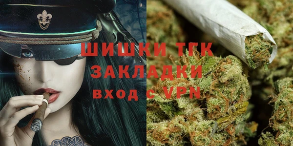 гашик Арсеньев