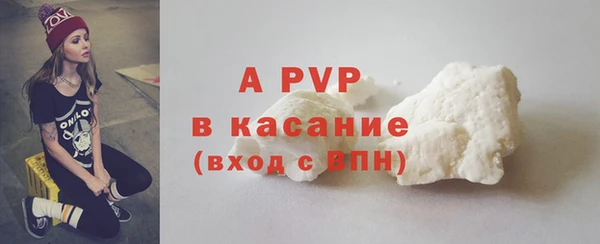 гашик Арсеньев