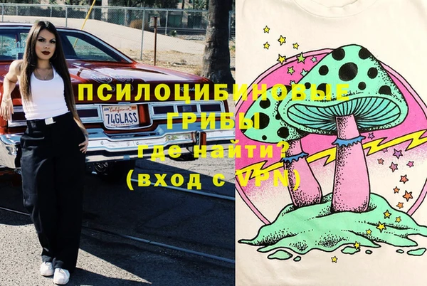 дмт Армянск