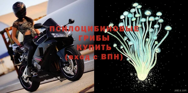 дмт Армянск