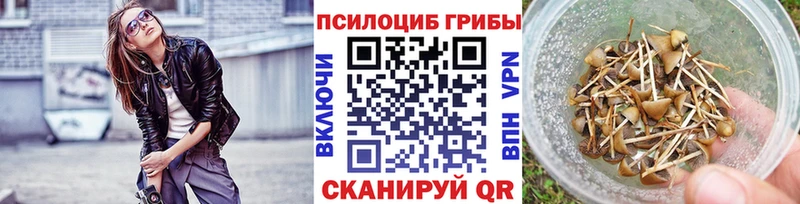 Псилоцибиновые грибы мухоморы  blacksprut маркетплейс  Чистополь 